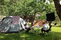 Camping Flåm - Zeltstellplätze unter Bäumen auf dem Campingplatz