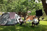 Camping Flåm - Zeltstellplätze unter Bäumen auf dem Campingplatz