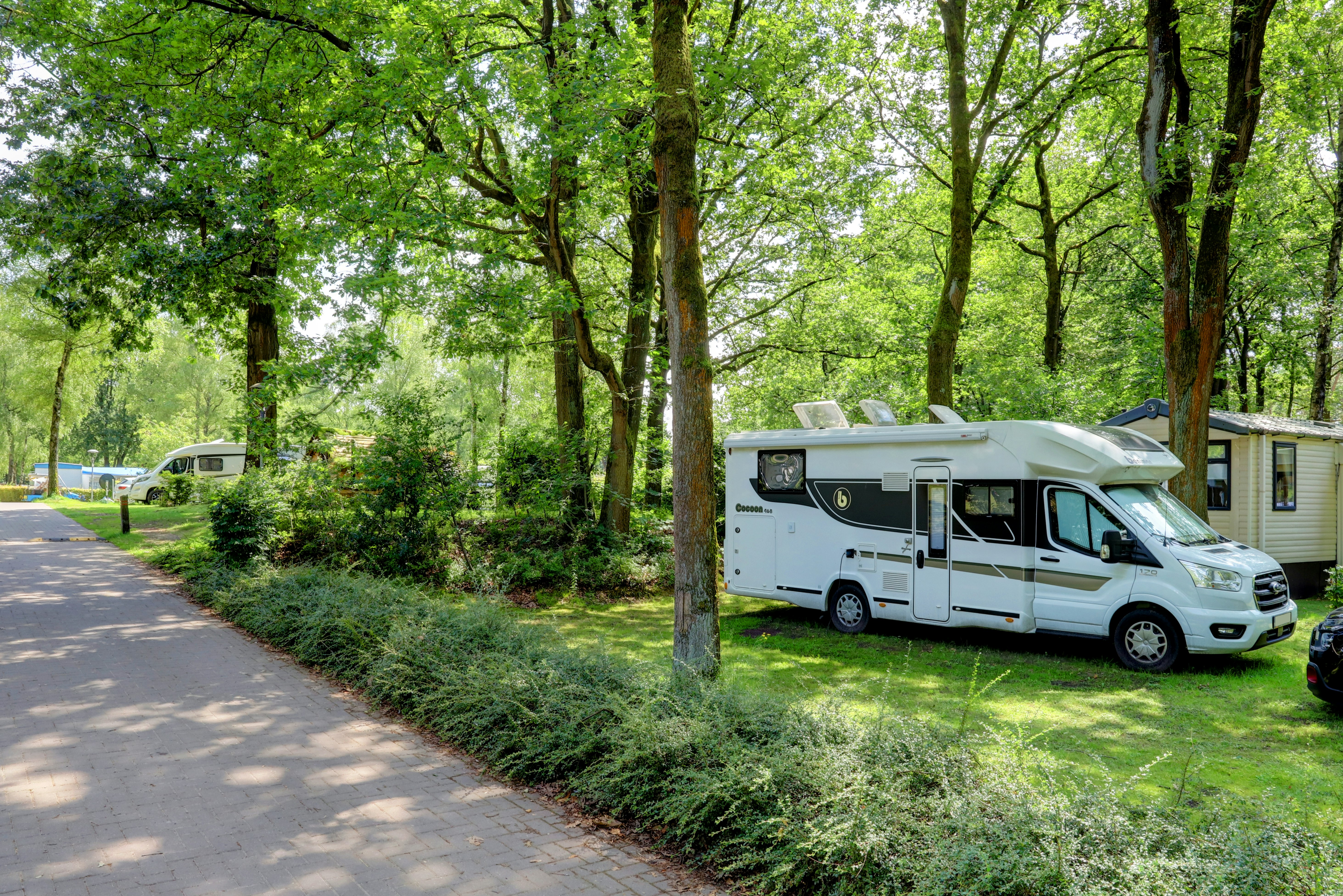 Camping Floreal Het Veen - Standplätze im Grünen auf dem Campingplatz