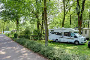 Camping Floreal Het Veen - Standplätze im Grünen auf dem Campingplatz
