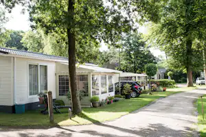 Camping Floreal Het Veen - Mobilheim auf dem Campingplatz im Schatten der Bäume im Grünen auf dem Campingplatz