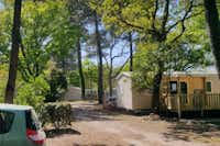 Camping Fontaine Vieille  -  Mobilheime vom Campingplatz zwischen Bäumen