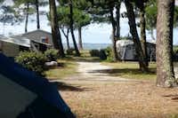 Camping Fontaine Vieille  -  Wohnwagen- und Zeltstellplatz und Mobilheime mit direktem Zugang zur Bucht Bassin d’Arcachon