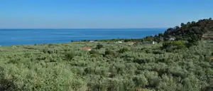 184851144.jpg
