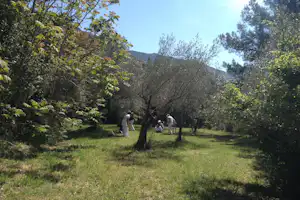 Grüner Campingplatz mit Rasen, Bäumen und Wanderern im Hintergrund vor einem bewaldeten Hügel.