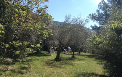 Camping Fontemaggio