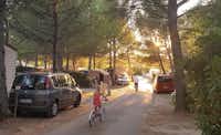 Camping Fontisson - Fahrradfahren als Freizeitaktivität auf dem Campingplatz