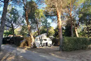 Wohnmobil auf einem Campingplatz zwischen hohen Bäumen, mit Markise, Stühlen und Tisch am Stellplatz.