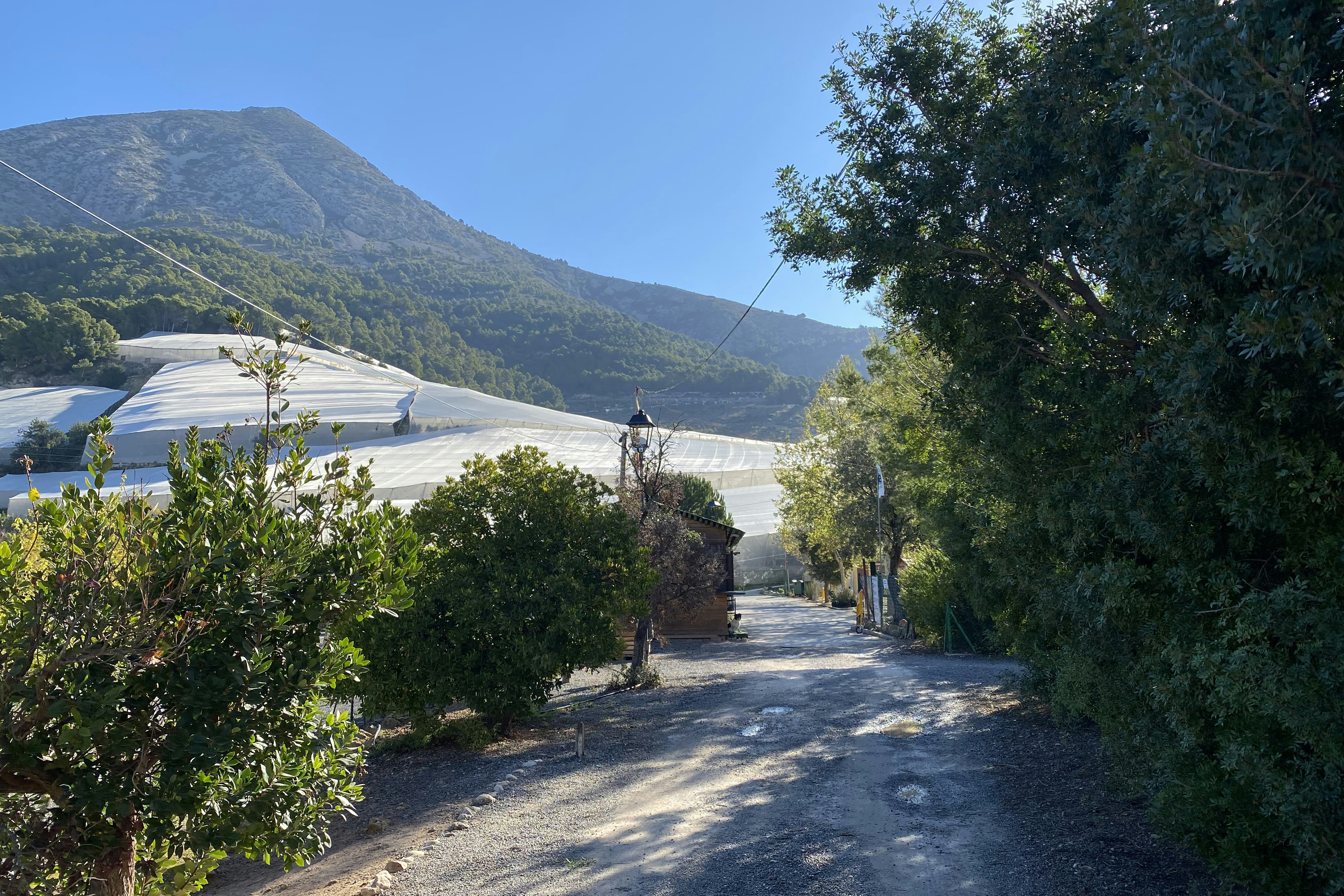 Camping Fonts del Algar - Eingang des Campingplatzes