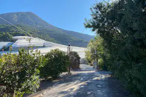 Camping Fonts del Algar - Eingang des Campingplatzes