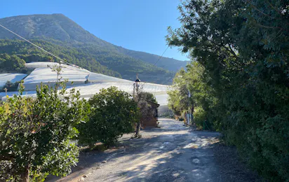Camping Fonts del Algar