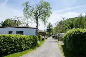 Camping Forel - Wohnwagen- und Zeltstellplatz vom Campingplatz im Grünen