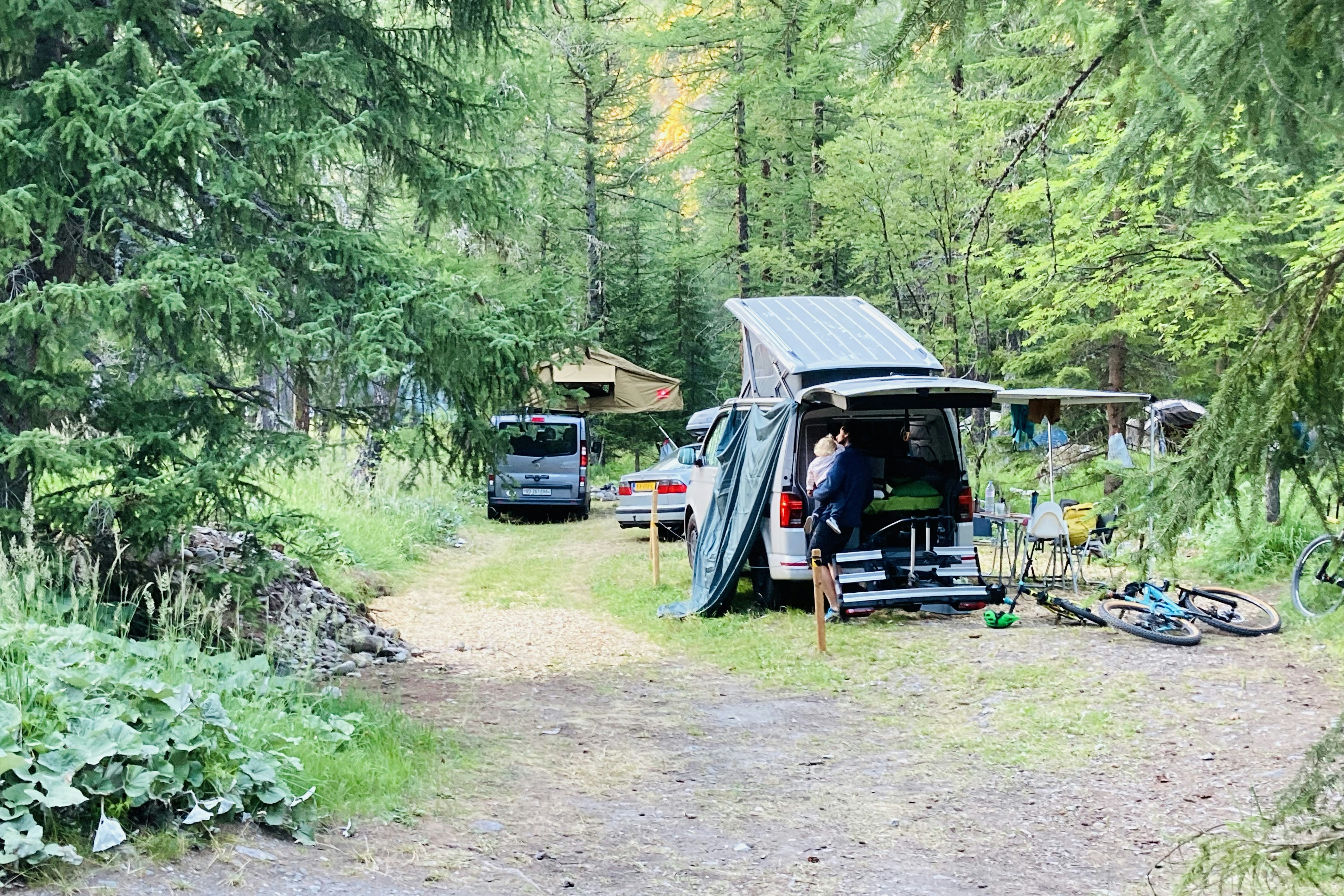Camping Forêt De Mélèzes - Standplätze zwischen den Bäumen auf dem Campingplatz