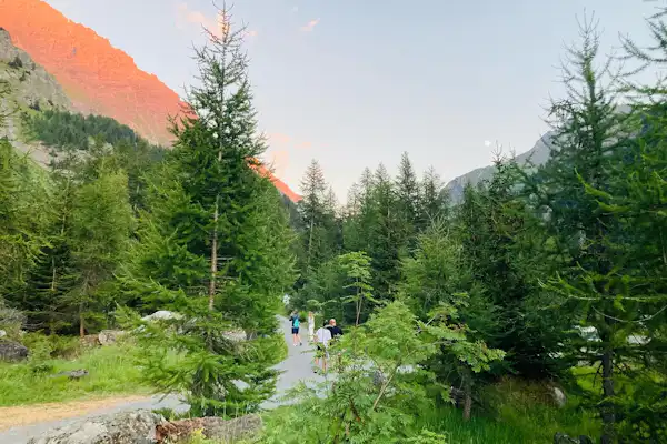 Camping Forêt De Mélèzes