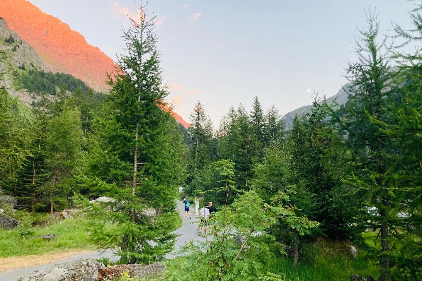 Camping Forêt De Mélèzes