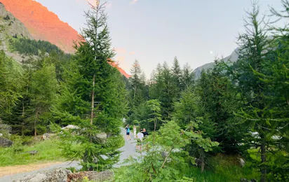 Camping Forêt De Mélèzes