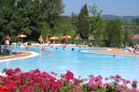 Fornella Camping & Wellness Family Resort - Pool mit Liegestühlen und Sonnenschirmen auf dem Campingplatz