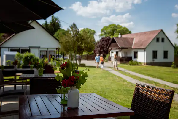 Camping Forrás