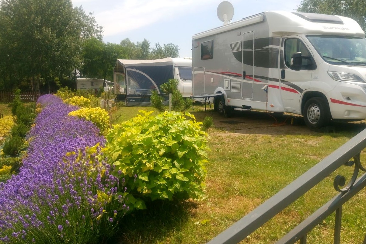 Camping Forteca - Standplätze auf dem Campingplatz