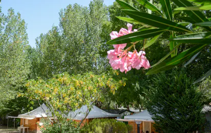 Camping Fouguières