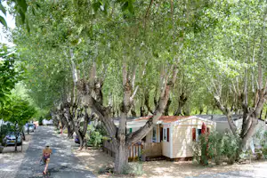 Straße im Campingbereich mit Mobilheimen zwischen Bäumen, Schatten und einem kleinen Weg entlang der Unterkünfte.