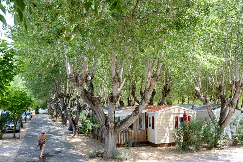 Camping Fouguières - Mobilheime mit überdachten Veranden unter Bäumen