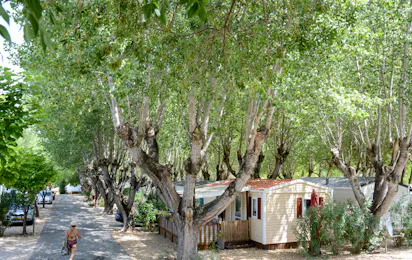 Camping Fouguières