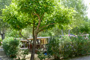 Campinghaus mit Holzveranda im Grünen, umgeben von Bäumen und Sträuchern, im Hintergrund ein weiterer Wohnbereich.