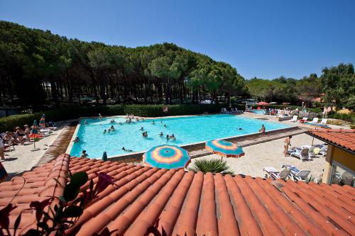 Camping-Pool mit türkisfarbenem Wasser, Sonnenliegen und Sonnenschirmen auf der Terrasse, im Hintergrund Bäume und Gebäude.