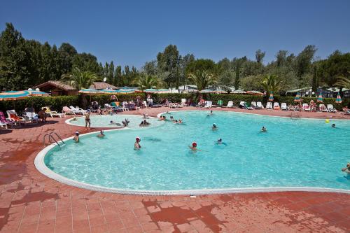 Großer Campingpool mit vielen Liegen und Sonnenschirmen, umgeben von Palmen und Bäumen unter klarem Himmel.