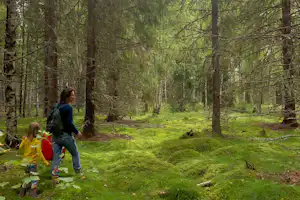 Camping Fristad - Camperin mit Kind im Wald