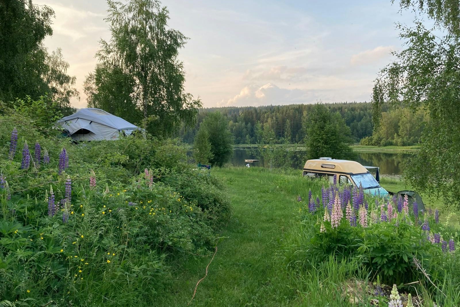 Camping Fristad - Standplätze im Grünen auf dem Campingplatz