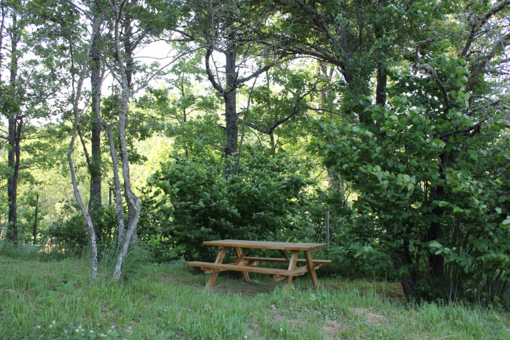 Camping Fuentes Carrionas