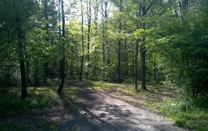 Camping Gäsi