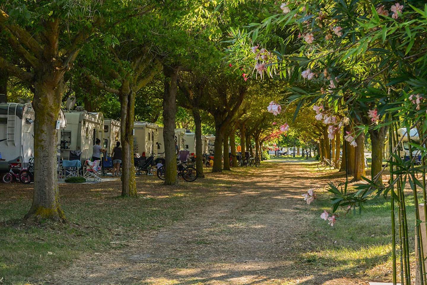 Centro Vacanze Garden River - Allee mit Baumbestand und Wohnmobil auf dem Campingplatz