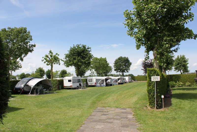 Camping Geelenhoof - Grüner Zeltplatz mit Wohnwagenstellplatz im Überblick 