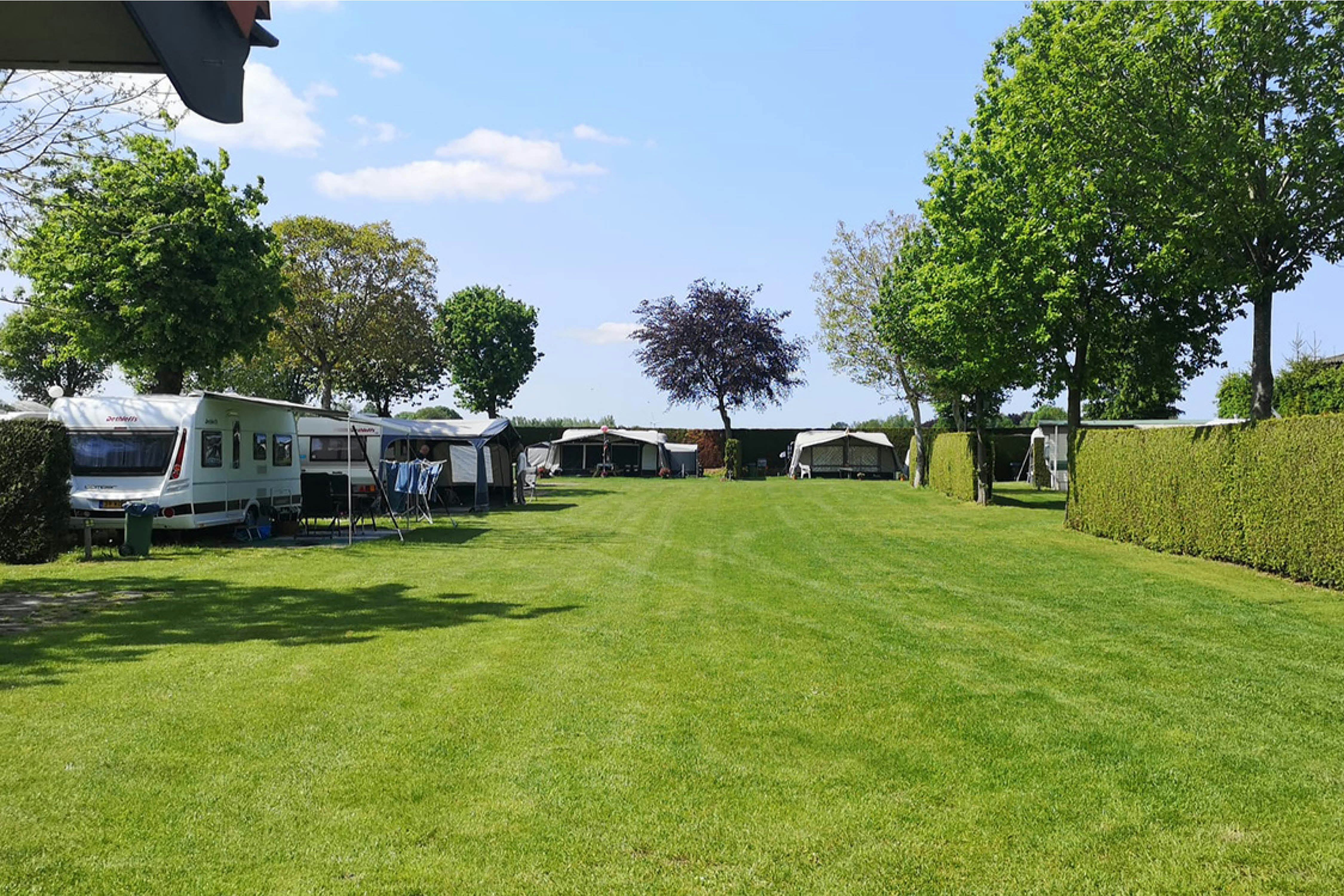 Camping Geelenhoof - Standplätze auf der Wiese auf dem Campingplatz