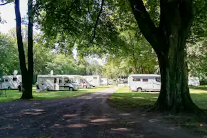 Wohnwagen und Campingbusse auf Stellplätzen, breite Zufahrtsstraße zwischen Bäumen im grünen Campinggelände.