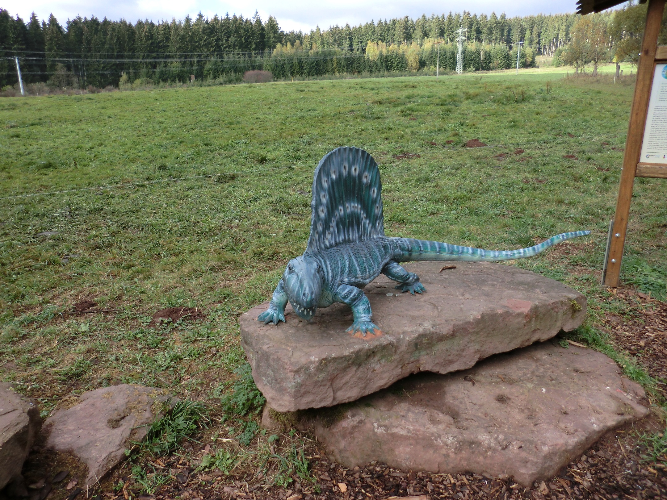 Campingplatz Georgenthal