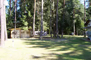 Wohnwagen und Campingbusse auf einem Stellplatz im Wald zwischen hohen Bäumen, mit Rasen und Wegen.