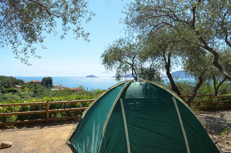 Camping Gianna - Stellplätze im Schatten der Bäume am Mittelmeer