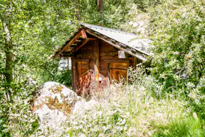 Holzhütte im Grünen Wald mit Satteldach, Holztür und Fenster, umgeben von Bäumen und hohem Gras.
