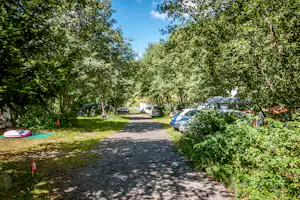 Schattiger Campingweg durch Bäume, mit geparkten Autos und Wohnmobilen am Rand, im Hintergrund ein Wohnwagen.