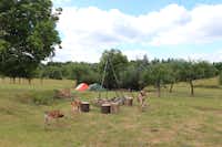 Camping & Glamping Slovakia - Feuerstelle mit grasenden Ziegen und Zelte im Hintergrund auf dem Campingplatz