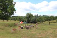 Camping & Glamping Slovakia - Feuerstelle mit grasenden Ziegen und Zelte im Hintergrund auf dem Campingplatz