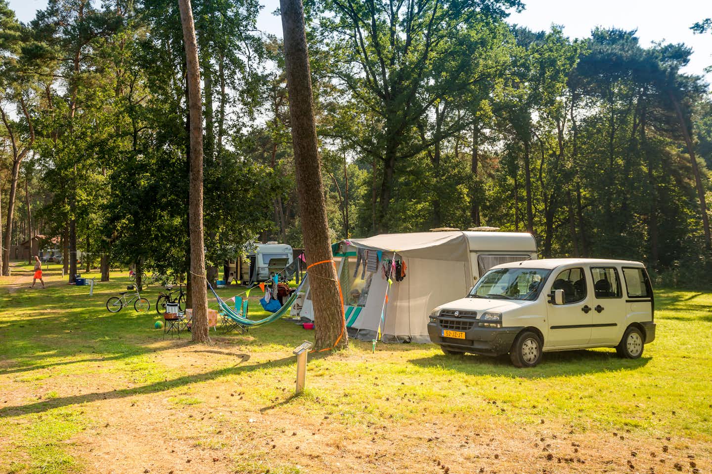 Camping Goolderheide - Standplätze umgeben von Bäumen