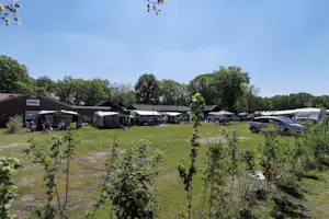 Camping Goorzicht - Wohnmobil- und Wohnwagenstellplätze auf der Wiese