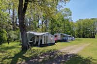 Camping Goorzicht - Wohnmobil- und  Wohnwagenstellplätze im Schatten der Bäume