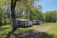Camping Goorzicht - Wohnmobil- und  Wohnwagenstellplätze im Schatten der Bäume