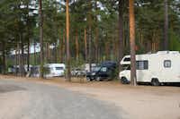 Camping Gräsmarksgården  -  Wohnwagenstellplatz und Wohnmobilstellplatz vom Campingplatz zwischen Bäumen